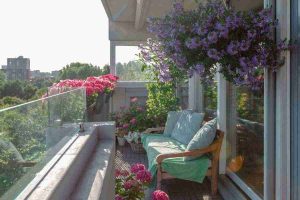 Piante da balcone facili da tenere