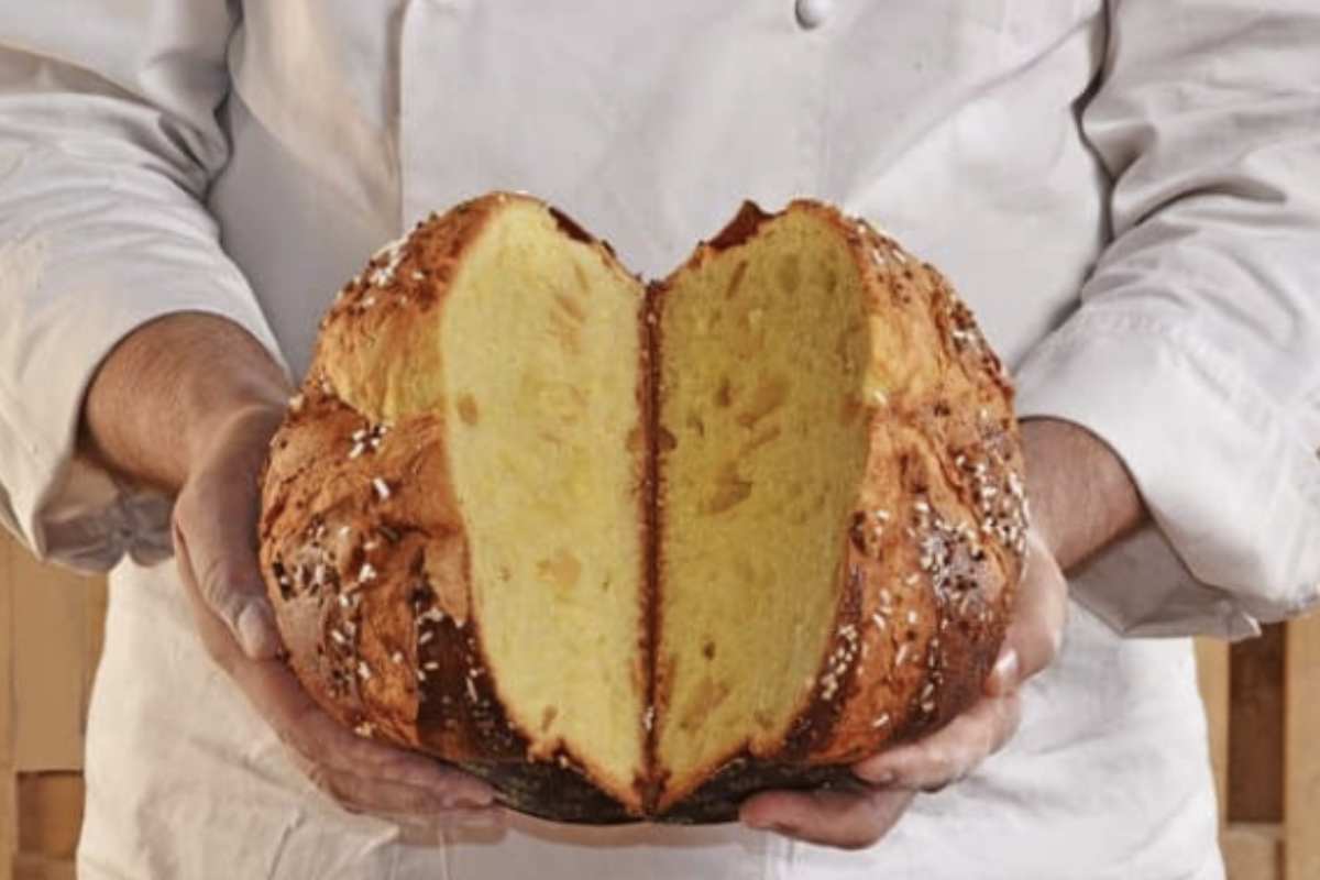 Per essere considerato un panettone vero e proprio, un dolce deve rispettare alcune regole ben precise stabilite da un disciplinare di produzione.