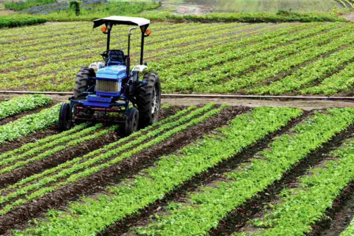 Per accedere a questo sostegno finanziario, le aziende agricole devono presentare una domanda specifica,